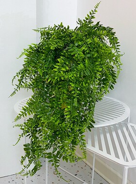 仿真壁挂波斯草藤条蕨类假花