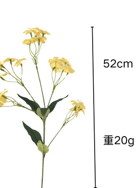 石竹桐花拍照摄影道具假花插花