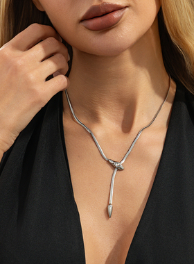 不锈钢蛇骨链项链女 2026夏季新潮时尚小众设计网红气质锁骨链