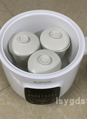 白陶瓷智能家用炖锅隔水