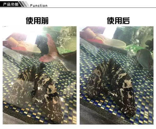 Мобильный телефон, светоотражающий аквариум, 52мм, 37мм