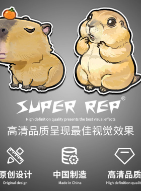 SuperRep原创小宠亚克力钥匙扣挂件卡皮巴拉龙猫蜜袋鼯周边挂饰