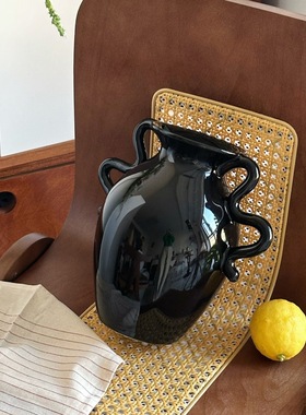 北欧ins风陶瓷花瓶插花摆件高级感小众轻奢家居装饰花瓶陶瓷花器