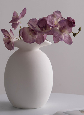 北欧白色陶瓷创意装饰干花鲜花花瓶家居软装客厅桌面书房摆件