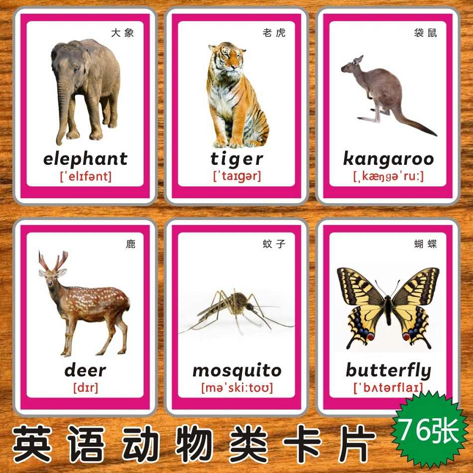 英文閃卡教學 新人首單立減十元 22年11月 淘寶海外