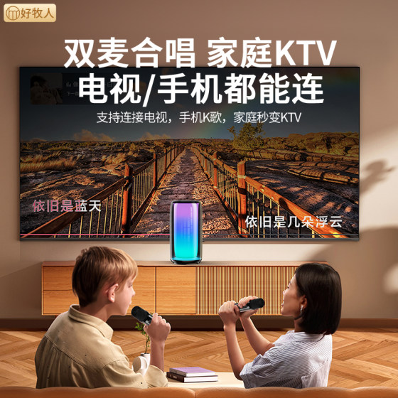 High quality karaoke speakers