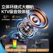High quality karaoke speakers