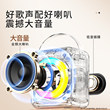 Hot selling wireless karaoke speakers