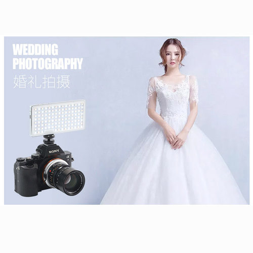 Iwata/岩田GL-01 LED补光灯自拍直播拍照打光柔光灯单反相机拍摄 - 图2
