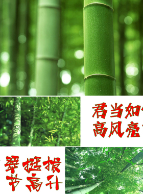 竹子摆件晋升节节高乔迁