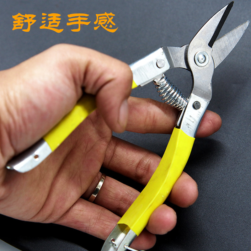 修枝剪修花剪刀枝剪采果园艺家用柑橘桔子刀剪葡萄专用圆头小嘴_虎窝淘