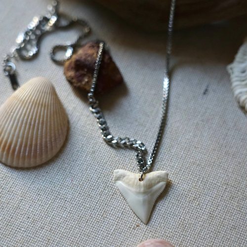 原创设计天然鲨鱼牙齿能量好运吊坠项链男礼物小众毛衣链锁骨链女 - 图1