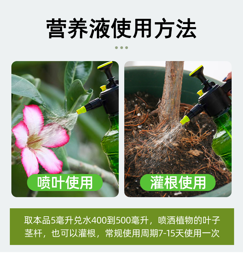 沙漠玫瑰专用肥营养液沙漠玫瑰花肥开花土玖瑰怎么肥料盆栽养护催-图3