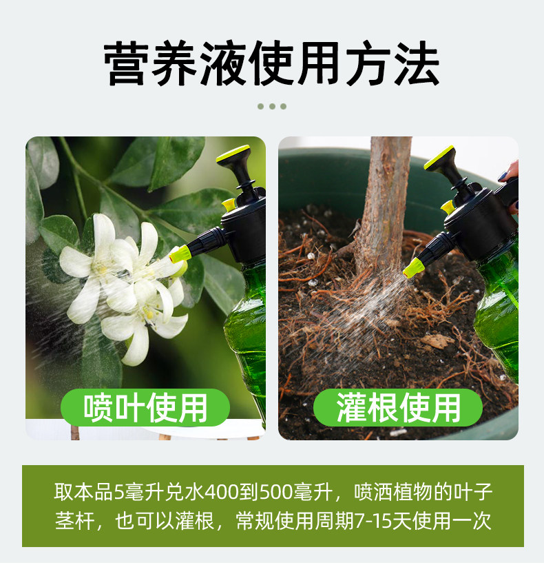 九里香肥料九里香专用肥九里香营养液盆栽花肥七里香化肥九里香树,淘宝优惠券,粉丝福利购,淘宝优惠卷
