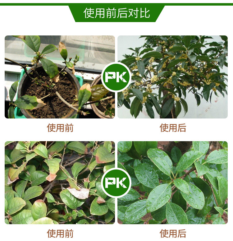 桂花树肥料专用肥桂花专用肥营养液盆栽养护黄叶养护生根养花家用,淘宝优惠券,粉丝福利购,淘宝优惠卷