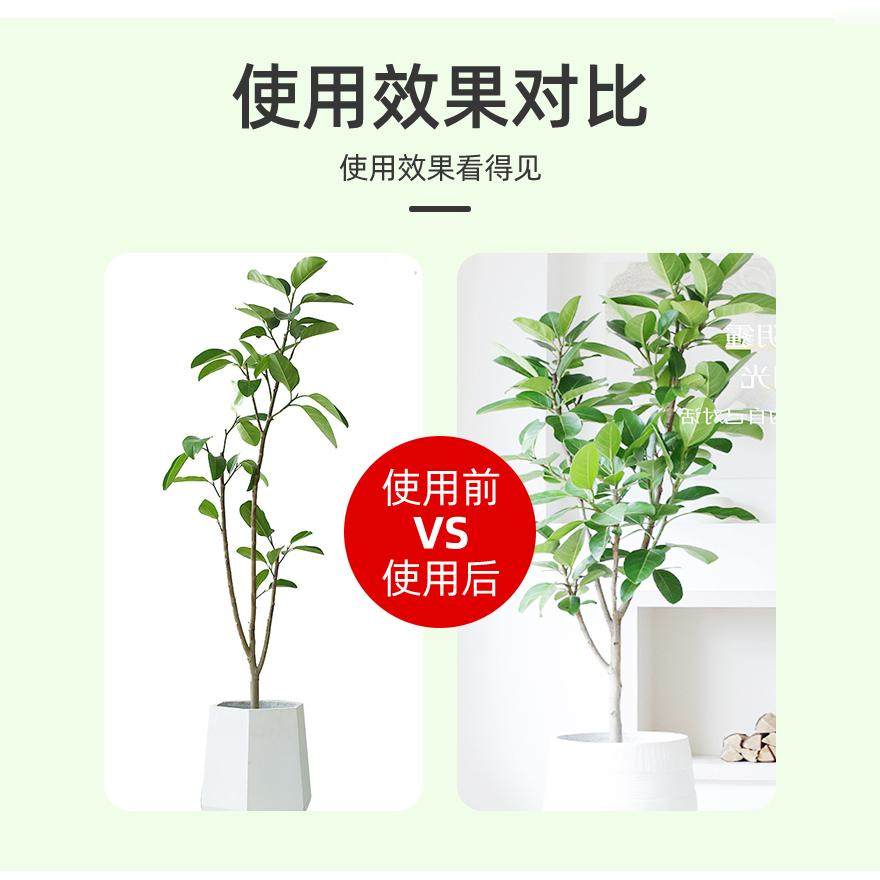 高山榕专用肥富贵榕肥料大型榕树营养液小叶榕树高山榕有机肥缓释,淘宝优惠券,粉丝福利购,淘宝优惠卷
