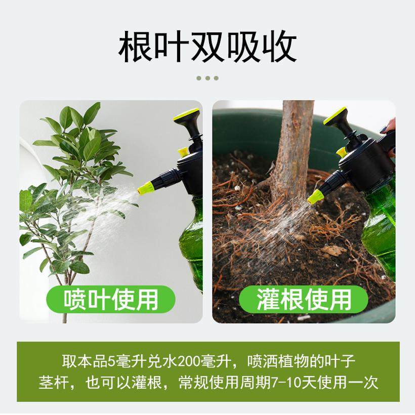 高山榕专用肥富贵榕肥料大型榕树营养液小叶榕树高山榕有机肥缓释,淘宝优惠券,粉丝福利购,淘宝优惠卷