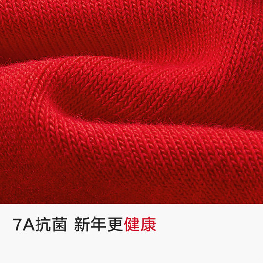 2026 Year of the Horse, Zodiac Year, Red Socks New Year Gift Box