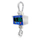Shunzhan Electronic Scales Stainless Steel Wireless Hook Scale