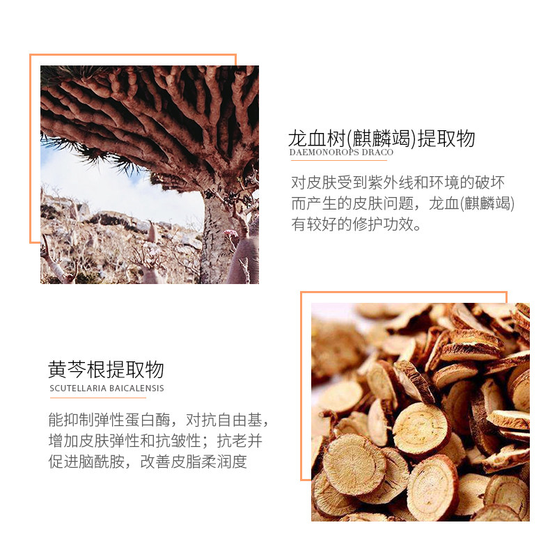 善草纪龙血修40g提拉紧致护颈霜 善草纪颈霜