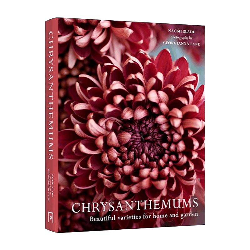 英文原版 Chrysanthemums Beautiful Varieties For Home and Garden 菊花 适合家庭和花园的美丽品种 精装花卉画册 英文版