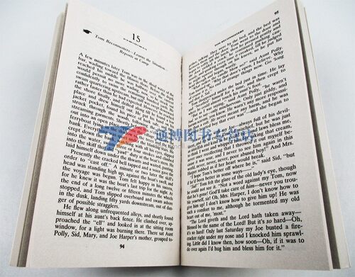 汤姆索亚历险记 The Adventures of Tom Sawyer 英文原版小说 儿童文学名著 马克吐温代表作 柯林斯经典 原版英语书籍 Mark Twain - 图1