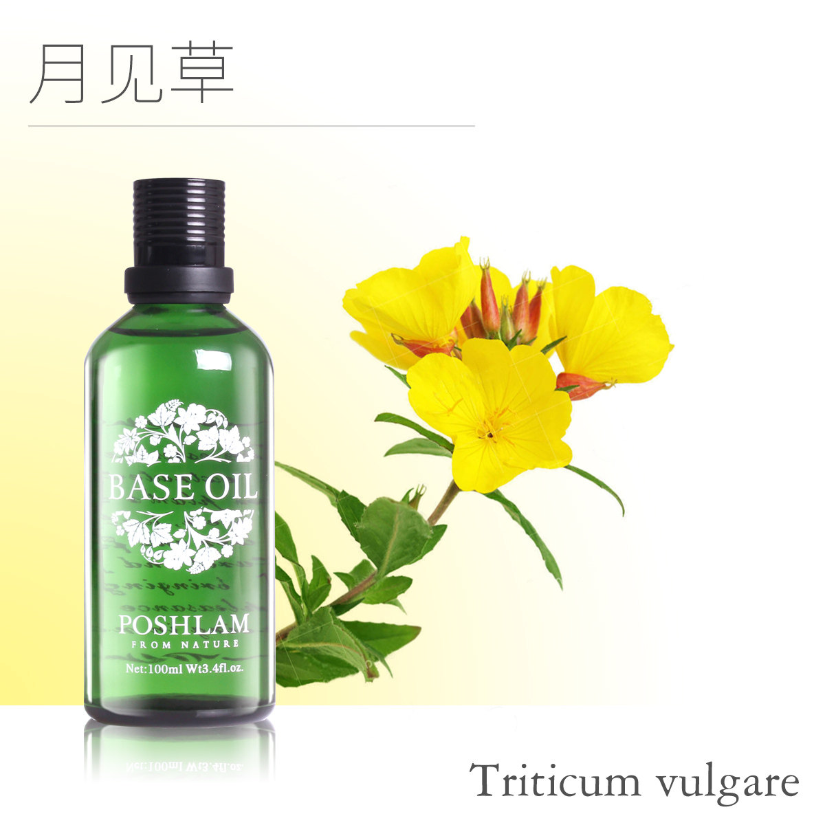 宝琪兰月见草油100ml基础油 poshlam宝琪兰基底精油