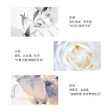 L'uyfee внезапно серия Fanghua Summer Muary Perfum
