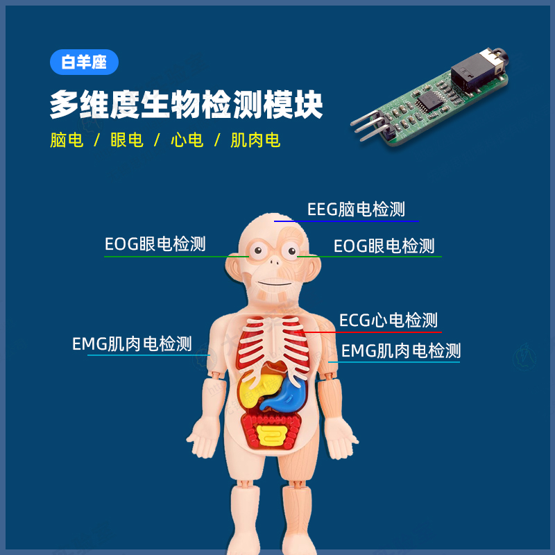 Arduino uno生物传感器肌肉电emg心电图ecg脑电图eeg眼电信号采集-图0