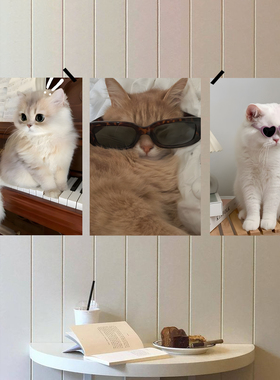 可爱宠物喵喵萌宠猫咪创意海报纸画报软装背景墙装饰画宠物店百搭