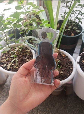 个性创意啤酒开瓶器美女立体造型冰箱贴
