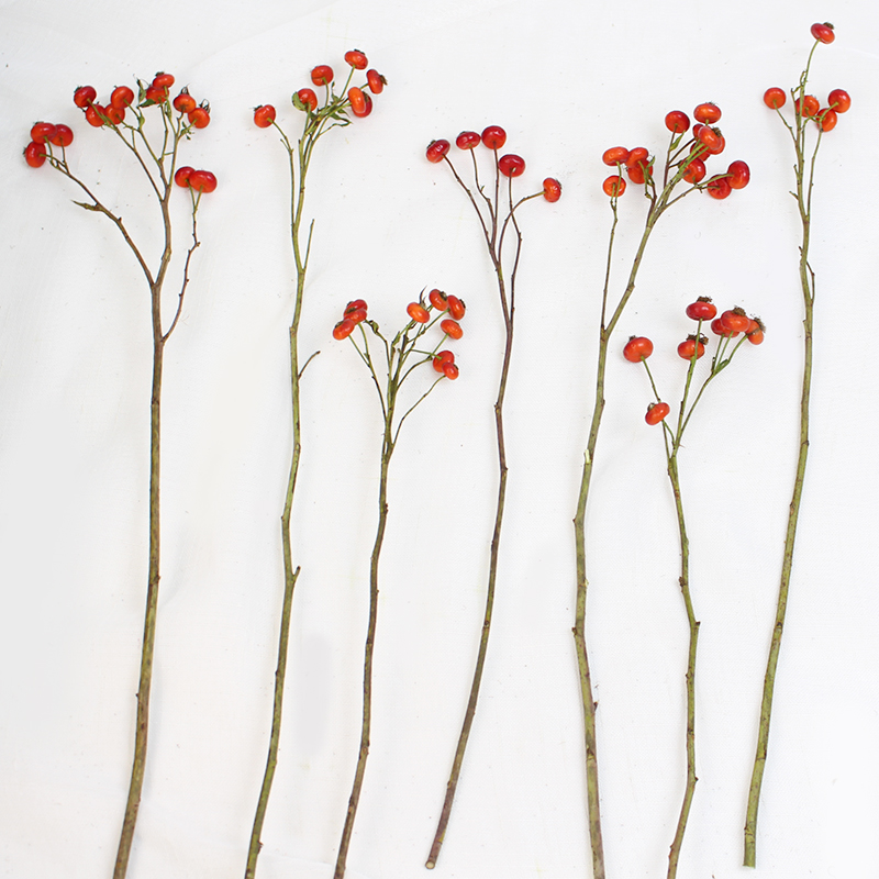 蔷薇果干花真果干枝红色家居软装摆设插画招财吉祥红果婚庆摆件 - 图2