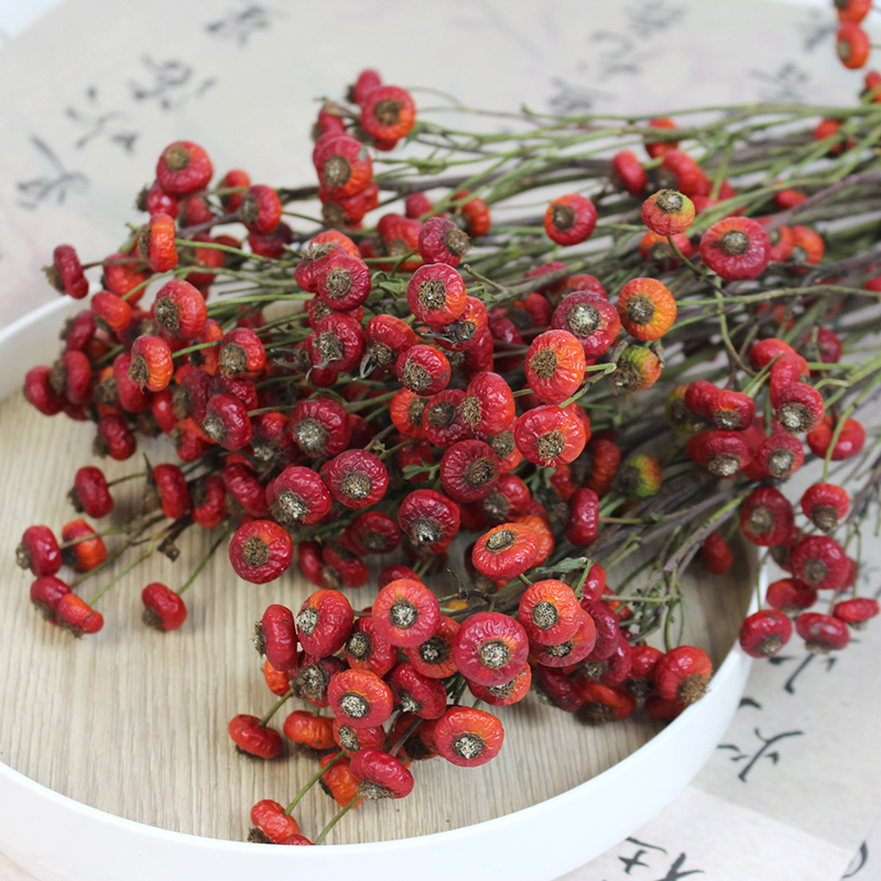 蔷薇果干花真果干枝红色家居软装摆设插画招财吉祥红果婚庆摆件 - 图0