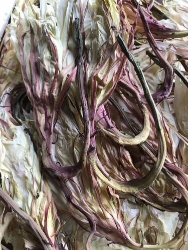 2026现货昙花干花朵琼花干天然可食用非霸王花煲汤泡水 - 图0