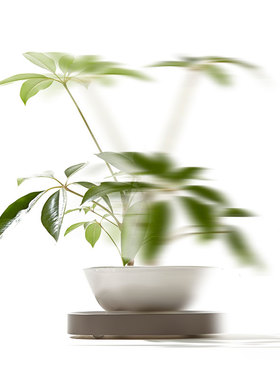 利快日本进口塑料花盆托盘带轮