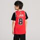 Nike Big Kids Jersey LaVine Bulls
