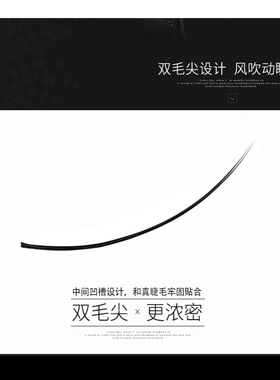 扁毛单根水貂浓密自然风吹动空气