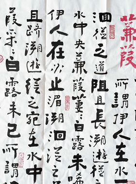 蒹葭 王忠华手写个性创意书法办公室客厅茶室书房装饰字画