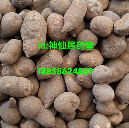 浙江正宗三叶青新鲜晒干中药材金线吊葫芦吊金钟石老鼠500g包邮-图1