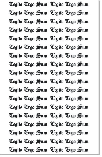 鹿晗同款纹身贴手臂拉丁文 Cogito Ergo Sum我