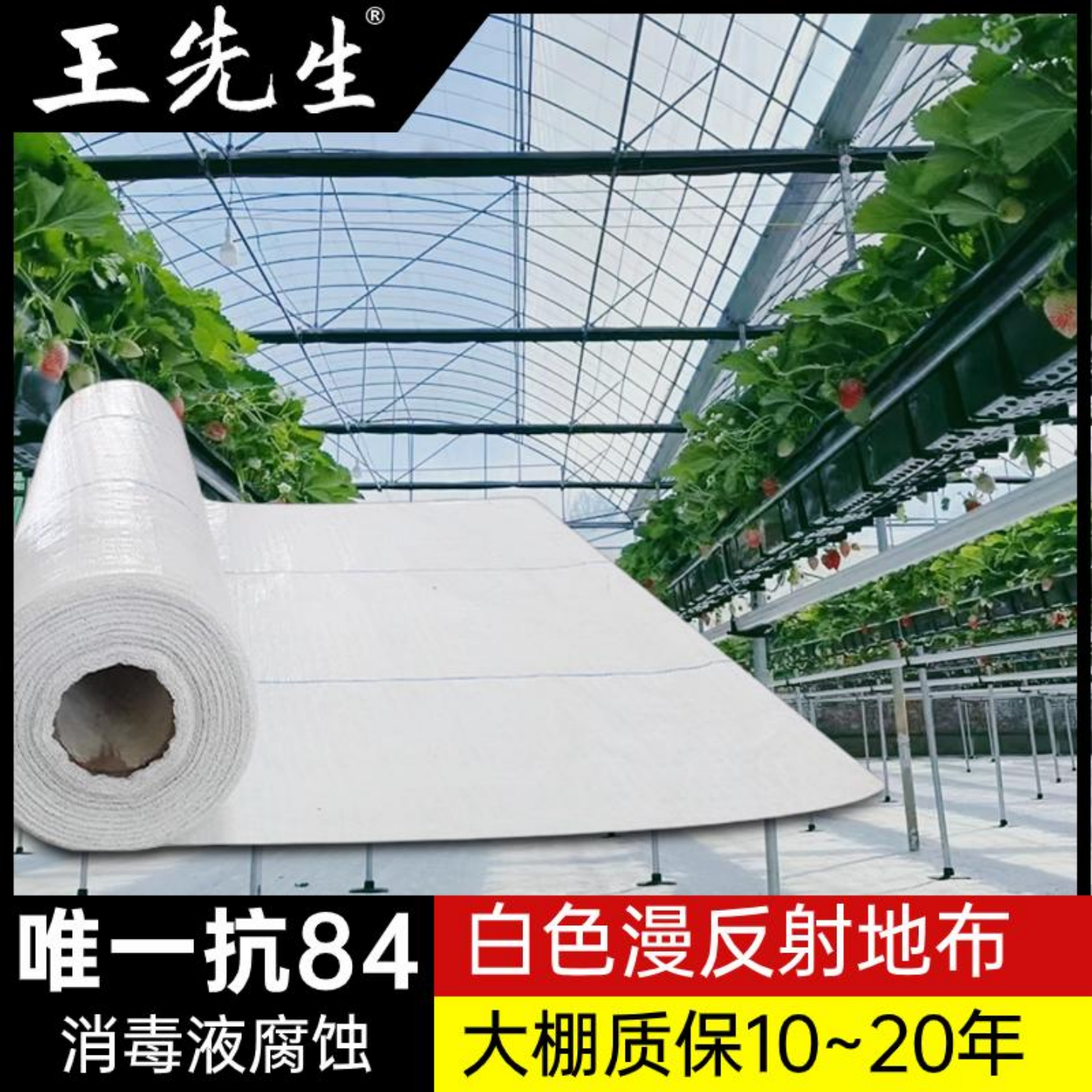 反光防草布超耐用无土栽培高架草莓除草布番茄白色防草布王先生,淘宝优惠券,粉丝福利购,淘宝优惠卷
