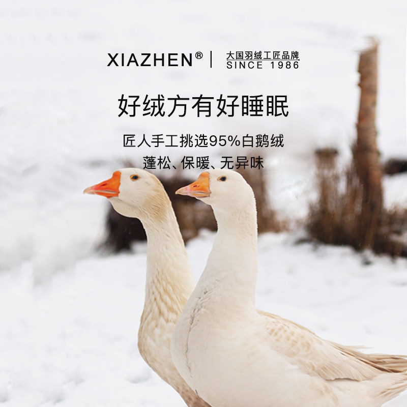霞珍95白鹅绒枕头五星级酒店羽绒枕芯100支全棉柔软A类抗菌成人枕,淘宝优惠券,粉丝福利购,淘宝优惠卷