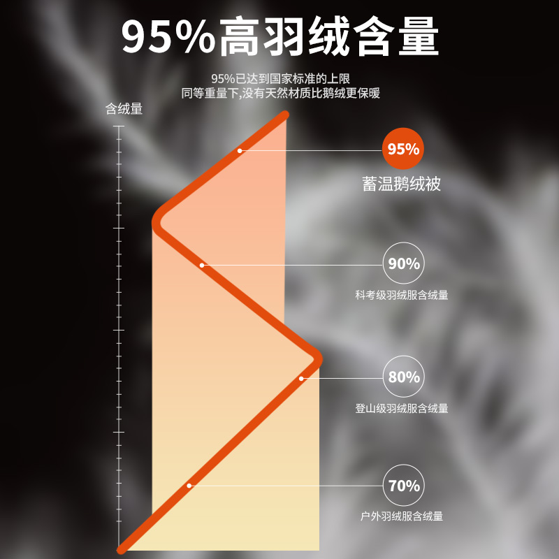 霞珍（XIAZHEN）羽绒被95鹅绒冬被加厚双人冬季被子被芯保暖冬天