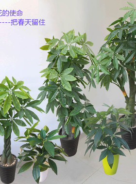 发财树仿真假塑料植物花绿植树叶