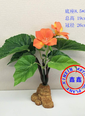 仿真盆栽万年青花假花海棠花荷花