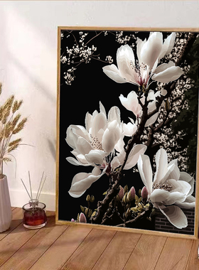 纯白玉兰花数字油画diy填充画画填色油彩手工涂色高端手绘装饰画