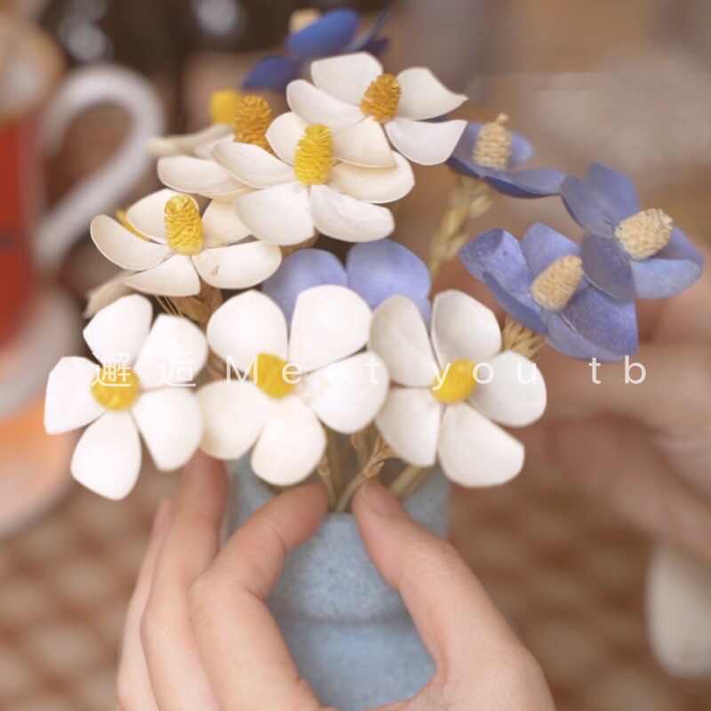 白蘭春 新人首單立減十元 22年2月 淘寶海外