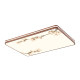 Eye protection infinitely dimmable living room lamp intelligent voice wrought iron ceiling lamp medieval aesthetic bedroom study home lamps