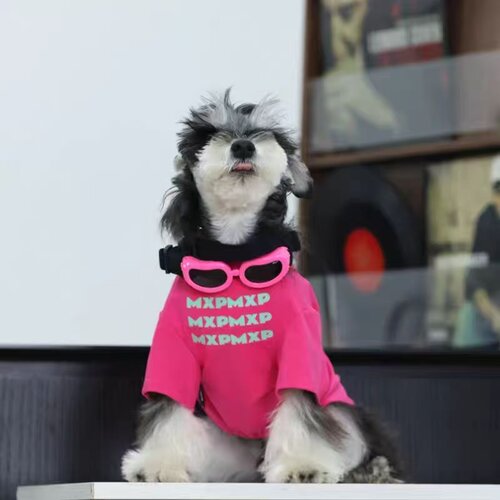 小型犬新款狗狗衣服春夏季薄款宠物小型犬雪纳瑞泰迪圆领T恤春秋 - 图0