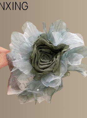 水墨花芙新中式国风朵发抓